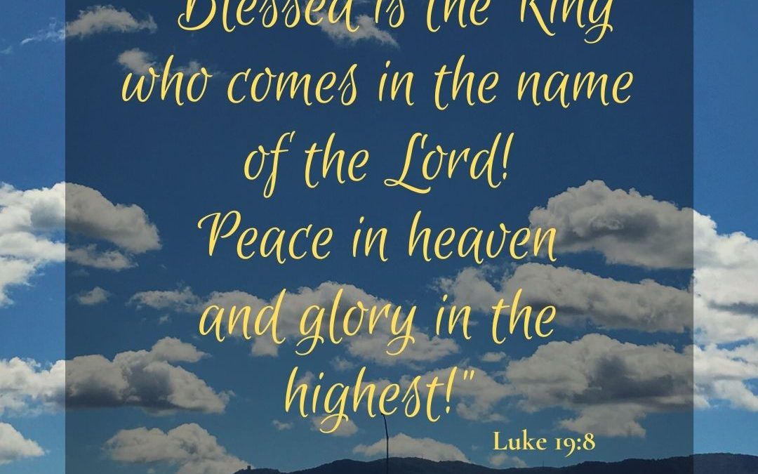 Blessed is the King – Luke 19:8