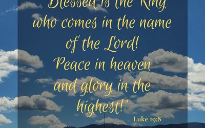 Blessed is the King – Luke 19:8